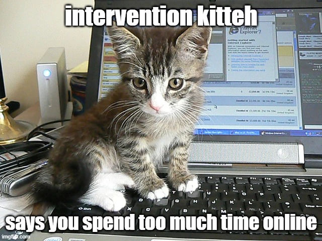 Now feed me | intervention kitteh; says you spend too much time online | image tagged in cat on keyboard,computers,online,addiction,cat food | made w/ Imgflip meme maker