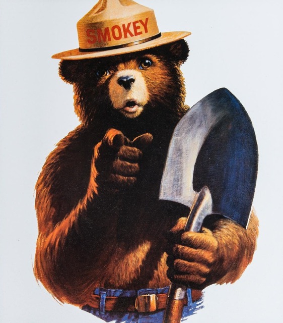 High Quality Only You Smokey The Bear Blank Meme Template