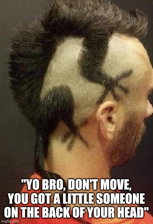 Got a lil something there | "YO BRO, DON'T MOVE, YOU GOT A LITTLE SOMEONE ON THE BACK OF YOUR HEAD" | image tagged in haircut | made w/ Imgflip meme maker