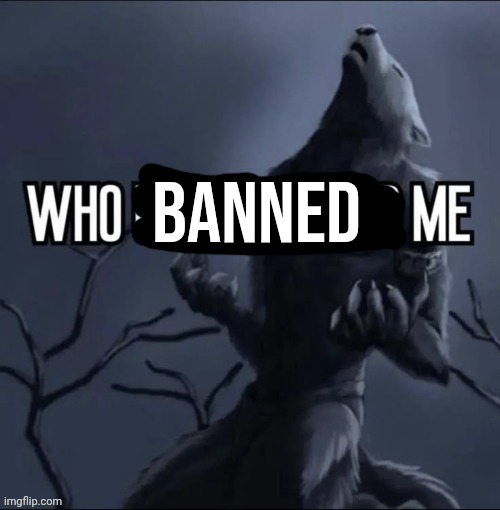 posting for funnies i think ik who | BANNED | made w/ Imgflip meme maker