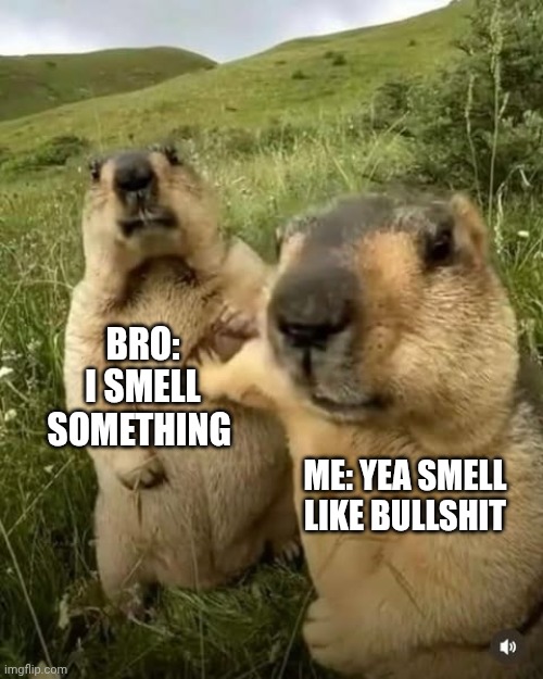Capybara | BRO: I SMELL SOMETHING; ME: YEA SMELL LIKE BULLSHIT | image tagged in capybara | made w/ Imgflip meme maker