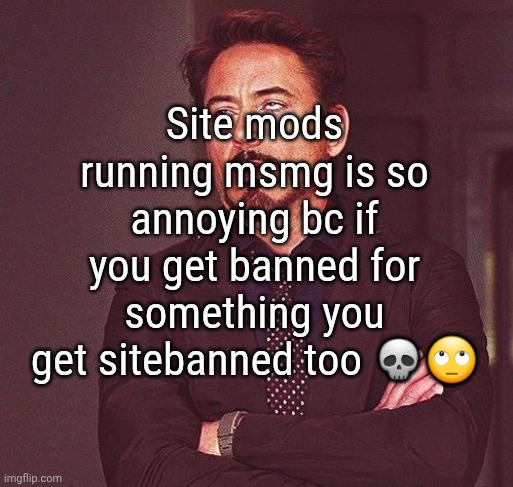Fr | Site mods running msmg is so annoying bc if you get banned for something you get sitebanned too 💀🙄 | image tagged in robert downey jr annoyed | made w/ Imgflip meme maker