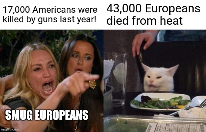 Woman Yelling At Cat | 17,000 Americans were killed by guns last year! 43,000 Europeans died from heat; SMUG EUROPEANS | image tagged in memes,woman yelling at cat | made w/ Imgflip meme maker