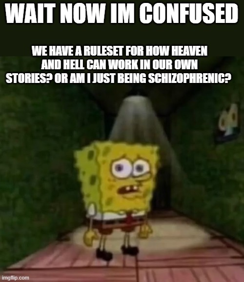 whar? | WAIT NOW IM CONFUSED; WE HAVE A RULESET FOR HOW HEAVEN AND HELL CAN WORK IN OUR OWN STORIES? OR AM I JUST BEING SCHIZOPHRENIC? | made w/ Imgflip meme maker