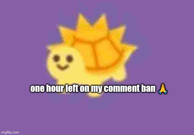 low quality turtle sun god | one hour left on my comment ban 🙏 | image tagged in low quality turtle sun god | made w/ Imgflip meme maker
