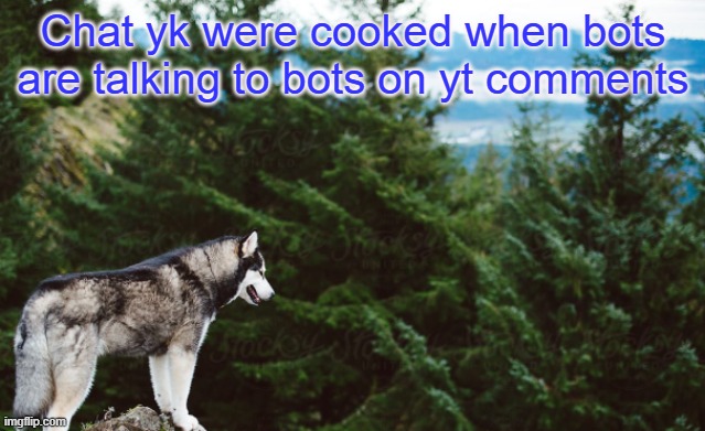 Husky | Chat yk were cooked when bots are talking to bots on yt comments | image tagged in husky | made w/ Imgflip meme maker