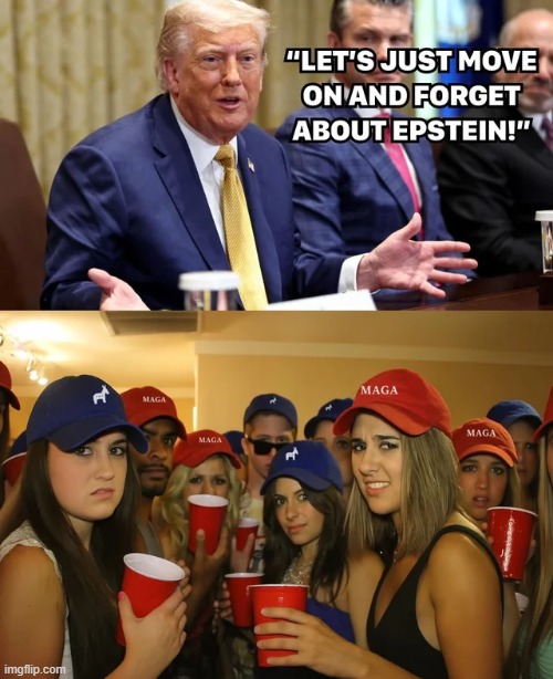Everybody disliked that | image tagged in memes,funny,maga,trump,politics,political meme | made w/ Imgflip meme maker