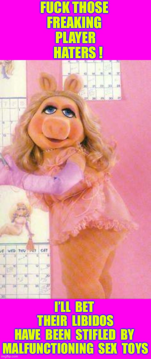 SEXY PIG !!! LOL.  : ) | FUCK THOSE 
FREAKING 
PLAYER
  HATERS ! I’LL  BET 
THEIR  LIBIDOS
HAVE  BEEN  STIFLED  BY 
MALFUNCTIONING  SEX  TOYS | image tagged in miss piggy | made w/ Imgflip meme maker