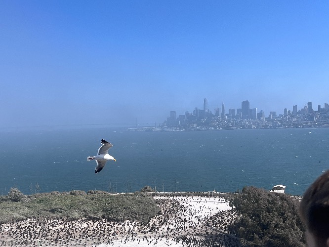 The fog is coming | made w/ Imgflip meme maker
