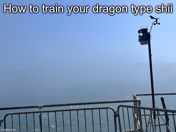 How to train your dragon type shii | made w/ Imgflip meme maker