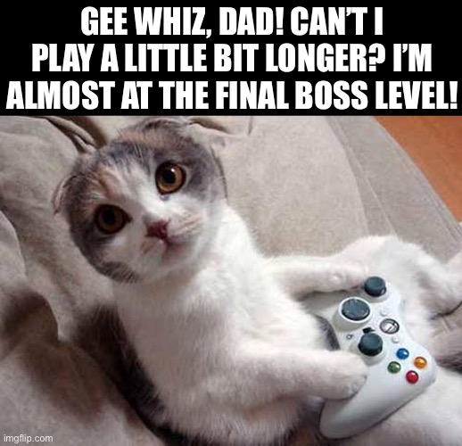 He loves his video games… | GEE WHIZ, DAD! CAN’T I PLAY A LITTLE BIT LONGER? I’M ALMOST AT THE FINAL BOSS LEVEL! | image tagged in cats,video games | made w/ Imgflip meme maker