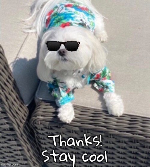 Thanks!
Stay cool | made w/ Imgflip meme maker