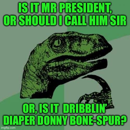 Philosoraptor | IS IT MR PRESIDENT, OR SHOULD I CALL HIM SIR; OR, IS IT  DRIBBLIN’ DIAPER DONNY BONE-SPUR? | image tagged in memes,philosoraptor | made w/ Imgflip meme maker