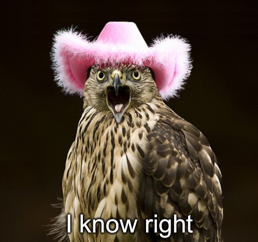 I know right | made w/ Imgflip meme maker