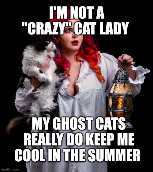 ENERGY EFFICIENCY | I'M NOT A "CRAZY" CAT LADY; MY GHOST CATS REALLY DO KEEP ME COOL IN THE SUMMER | image tagged in haunted cat lady | made w/ Imgflip meme maker