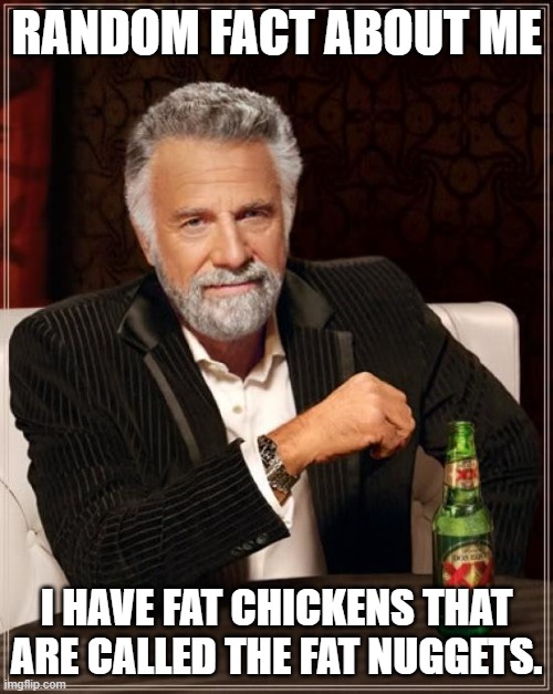 They F A T | RANDOM FACT ABOUT ME; I HAVE FAT CHICKENS THAT ARE CALLED THE FAT NUGGETS. | image tagged in memes,the most interesting man in the world,chicken,fat,chicken nuggets | made w/ Imgflip meme maker