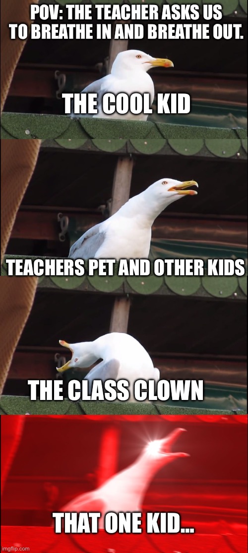 This is relatable | POV: THE TEACHER ASKS US TO BREATHE IN AND BREATHE OUT. THE COOL KID; TEACHERS PET AND OTHER KIDS; THE CLASS CLOWN; THAT ONE KID… | image tagged in memes,inhaling seagull | made w/ Imgflip meme maker