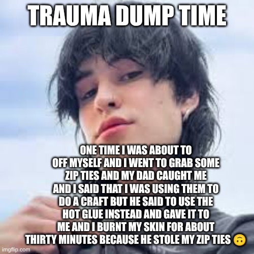 Jake webber | TRAUMA DUMP TIME; ONE TIME I WAS ABOUT TO OFF MYSELF AND I WENT TO GRAB SOME ZIP TIES AND MY DAD CAUGHT ME AND I SAID THAT I WAS USING THEM TO DO A CRAFT BUT HE SAID TO USE THE HOT GLUE INSTEAD AND GAVE IT TO ME AND I BURNT MY SKIN FOR ABOUT THIRTY MINUTES BECAUSE HE STOLE MY ZIP TIES 🙃 | image tagged in jake webber | made w/ Imgflip meme maker
