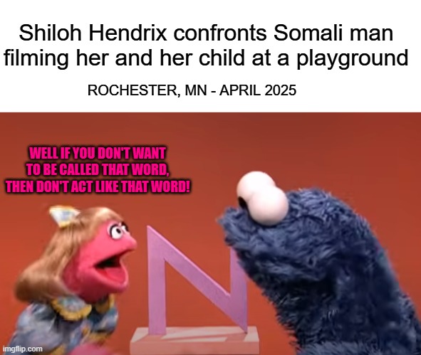 Shiloh Hendrix confronts Somali man filming her and her child at a playground; ROCHESTER, MN - APRIL 2025; WELL IF YOU DON'T WANT TO BE CALLED THAT WORD, THEN DON'T ACT LIKE THAT WORD! | image tagged in memes,sesame street,cookie monster,n word,minnesota,video | made w/ Imgflip meme maker