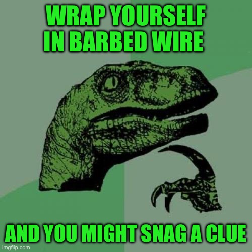Philosoraptor | WRAP YOURSELF IN BARBED WIRE; AND YOU MIGHT SNAG A CLUE | image tagged in memes,philosoraptor | made w/ Imgflip meme maker