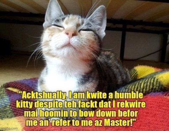 Humility Thy Name Is Not Kitteh | image tagged in cats,funny cats,humble,smug,boss | made w/ Imgflip meme maker