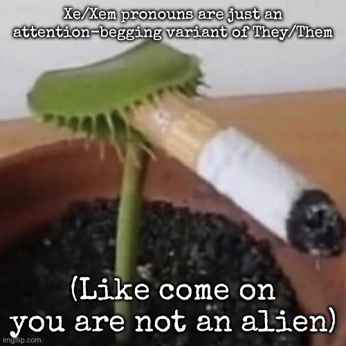 And some dumbass gonna flame me | Xe/Xem pronouns are just an attention-begging variant of They/Them; (Like come on you are not an alien) | image tagged in plant weeds,msmg | made w/ Imgflip meme maker