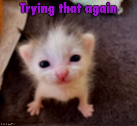 9zy5e3..? | Trying that again | image tagged in silly goober 3 | made w/ Imgflip meme maker
