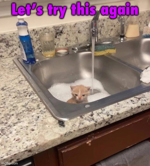 9zy51q | Let’s try this again | image tagged in baf | made w/ Imgflip meme maker