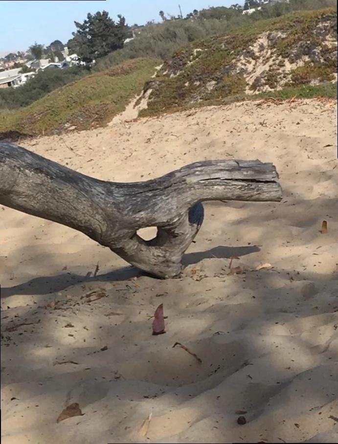 Ok tree Blank Meme Template