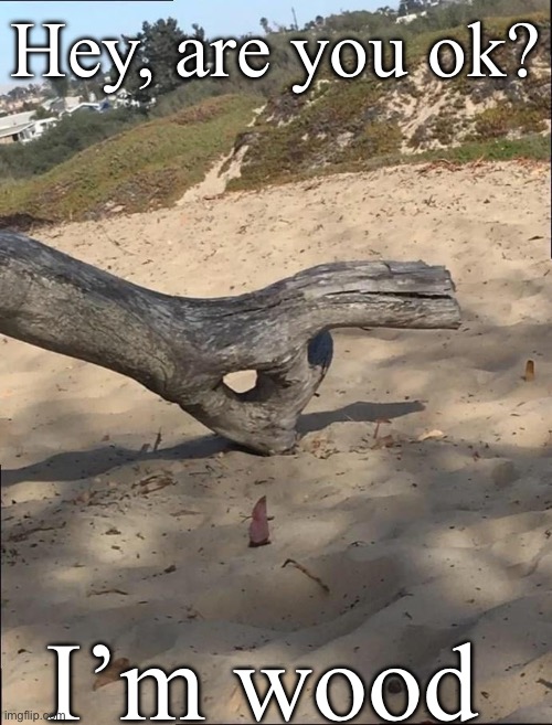 I’m wood | Hey, are you ok? I’m wood | image tagged in ok tree | made w/ Imgflip meme maker