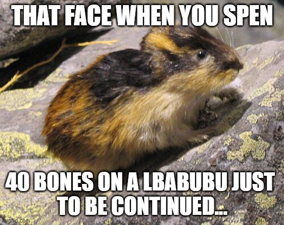leabubub | THAT FACE WHEN YOU SPEN; 40 BONES ON A LBABUBU JUST 
TO BE CONTINUED... | image tagged in freaky | made w/ Imgflip meme maker