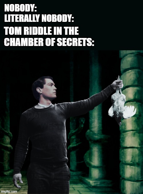 NOBODY:
LITERALLY NOBODY:; TOM RIDDLE IN THE CHAMBER OF SECRETS: | made w/ Imgflip meme maker