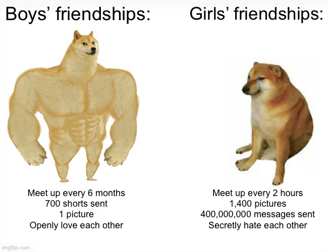Boys vs girls friendships: | Boys’ friendships:; Girls’ friendships:; Meet up every 6 months
700 shorts sent
1 picture
Openly love each other; Meet up every 2 hours
1,400 pictures
400,000,000 messages sent
Secretly hate each other | image tagged in memes,buff doge vs cheems | made w/ Imgflip meme maker