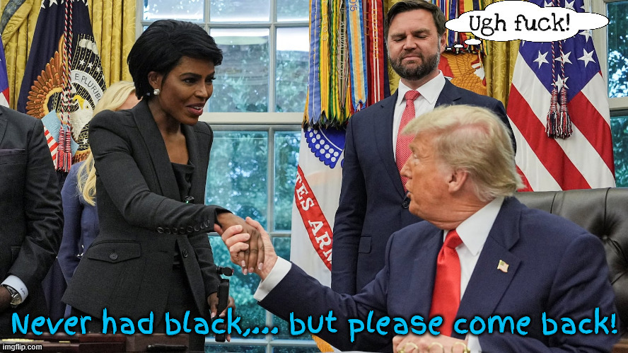 A black mark on a otherwise perfect record | image tagged in a black mark on a otherwise perfect record,self-deported,you speak very goodly english,i like your hair style not kkk approved | made w/ Imgflip meme maker