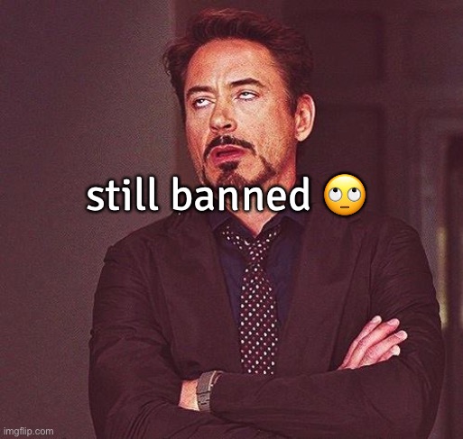 1 more hour | still banned 🙄 | image tagged in robert downey jr annoyed | made w/ Imgflip meme maker