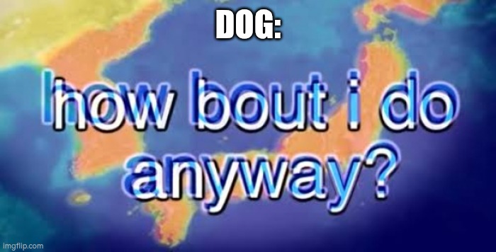 How bout i do anyway | DOG: | image tagged in how bout i do anyway | made w/ Imgflip meme maker