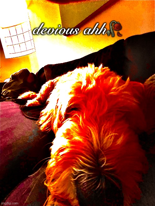 devious | devious ahh🥀 | image tagged in scary | made w/ Imgflip meme maker