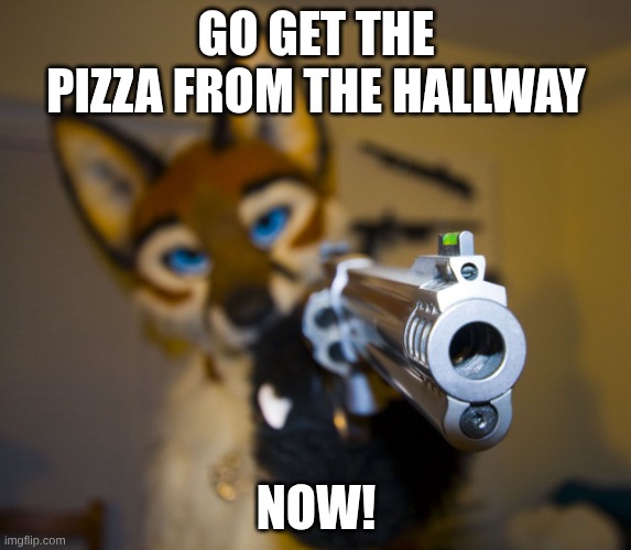 Furry with gun | GO GET THE PIZZA FROM THE HALLWAY; NOW! | image tagged in furry with gun | made w/ Imgflip meme maker