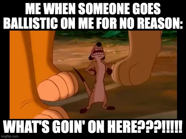 This happened yesterday, I was so pissed. Pissed as in angry, not British for drunk lol | ME WHEN SOMEONE GOES BALLISTIC ON ME FOR NO REASON:; WHAT'S GOIN' ON HERE???!!!!! | image tagged in lion king,timon,cartoon,disney,asshole,injustice | made w/ Imgflip meme maker