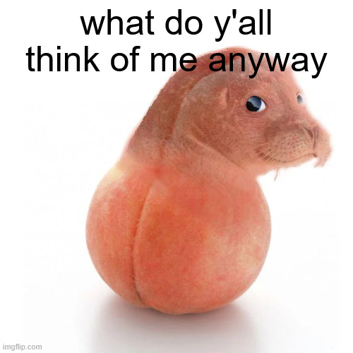 . | what do y'all think of me anyway | image tagged in seal ball run | made w/ Imgflip meme maker