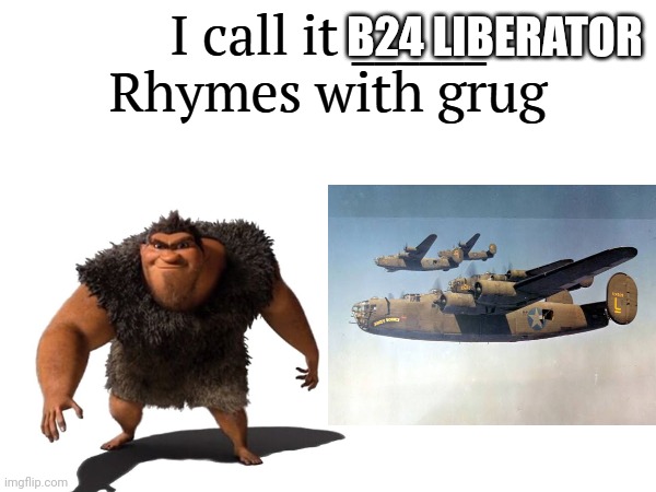 B24 librator | B24 LIBERATOR | image tagged in i call it _____ | made w/ Imgflip meme maker