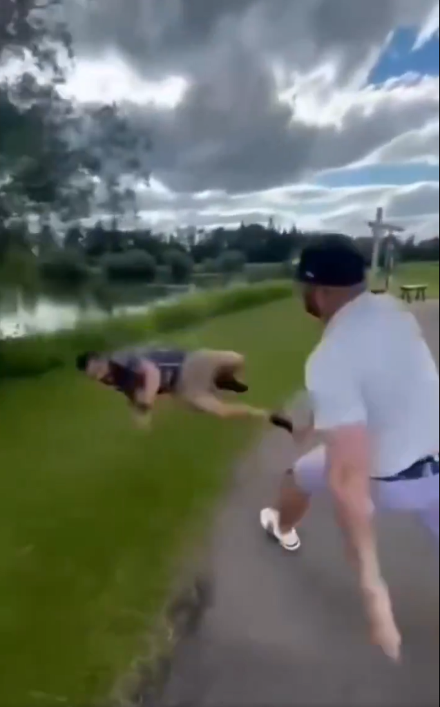 golf fight throw Blank Meme Template