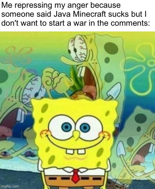 REPRESSION IS NOICE | Me repressing my anger because someone said Java Minecraft sucks but I don't want to start a war in the comments: | image tagged in supressed pain,idk what to put here | made w/ Imgflip meme maker