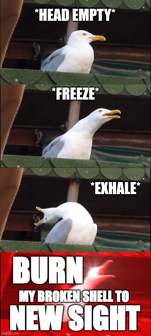 LOTM DARK DREAM | *HEAD EMPTY*; *FREEZE*; *EXHALE*; BURN; MY BROKEN SHELL TO; NEW SIGHT | image tagged in memes,inhaling seagull,lord of the mysteries,lotm | made w/ Imgflip meme maker
