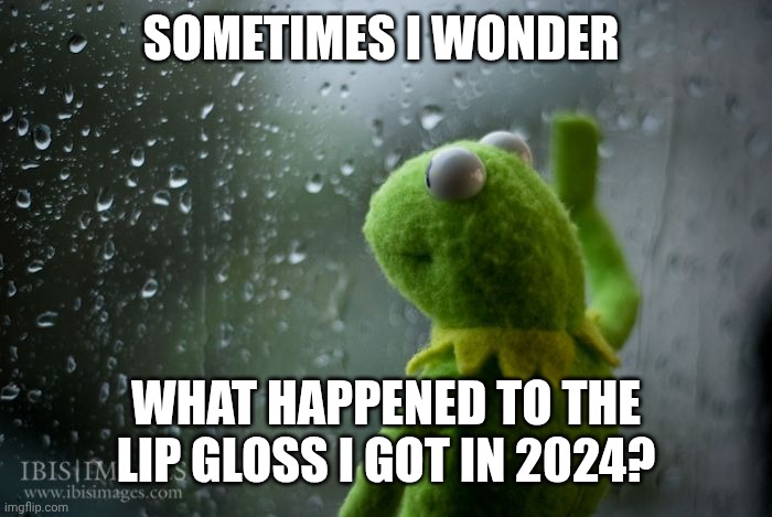 kermit window | SOMETIMES I WONDER; WHAT HAPPENED TO THE LIP GLOSS I GOT IN 2024? | image tagged in kermit window | made w/ Imgflip meme maker