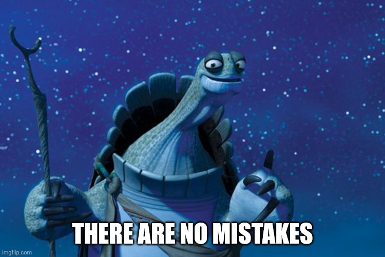 THERE ARE NO MISTAKES | image tagged in master oogway | made w/ Imgflip meme maker