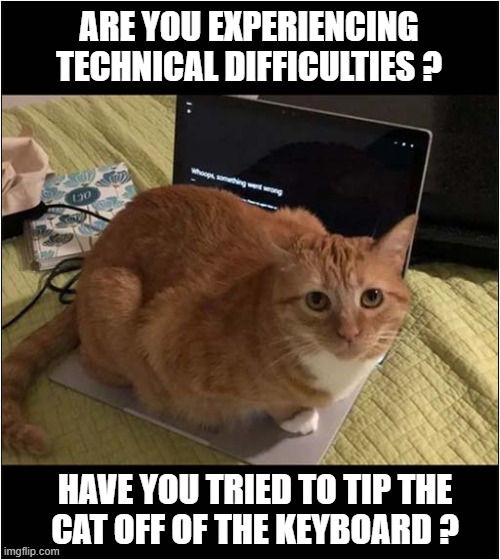 Laptop Message | ARE YOU EXPERIENCING TECHNICAL DIFFICULTIES ? HAVE YOU TRIED TO TIP THE
CAT OFF OF THE KEYBOARD ? | image tagged in cats,laptop,problems | made w/ Imgflip meme maker