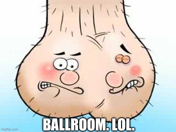 Testicles - balls | BALLROOM. LOL. | image tagged in testicles - balls | made w/ Imgflip meme maker