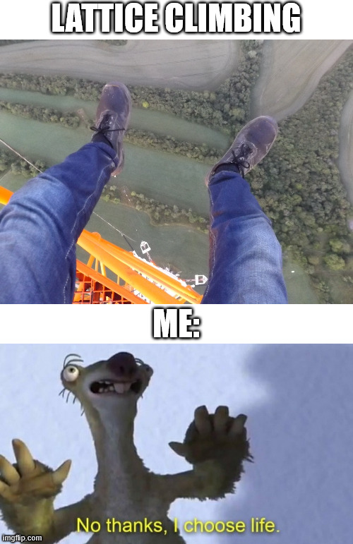 No thanks, i choose life. | LATTICE CLIMBING; ME: | image tagged in ice age,lattice climbing,climbing,fear,dark humor,freesolo | made w/ Imgflip meme maker