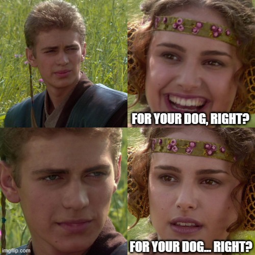 Anakin Padme 4 Panel | FOR YOUR DOG, RIGHT? FOR YOUR DOG... RIGHT? | image tagged in anakin padme 4 panel | made w/ Imgflip meme maker